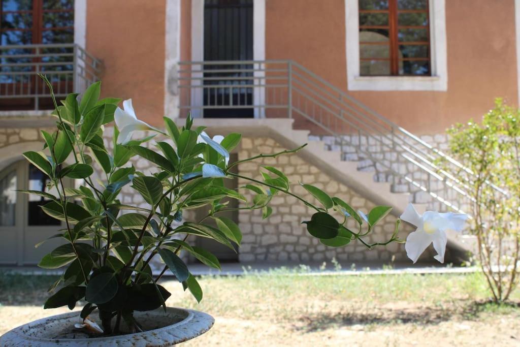 La Provencale Apartment Uzes Luaran gambar